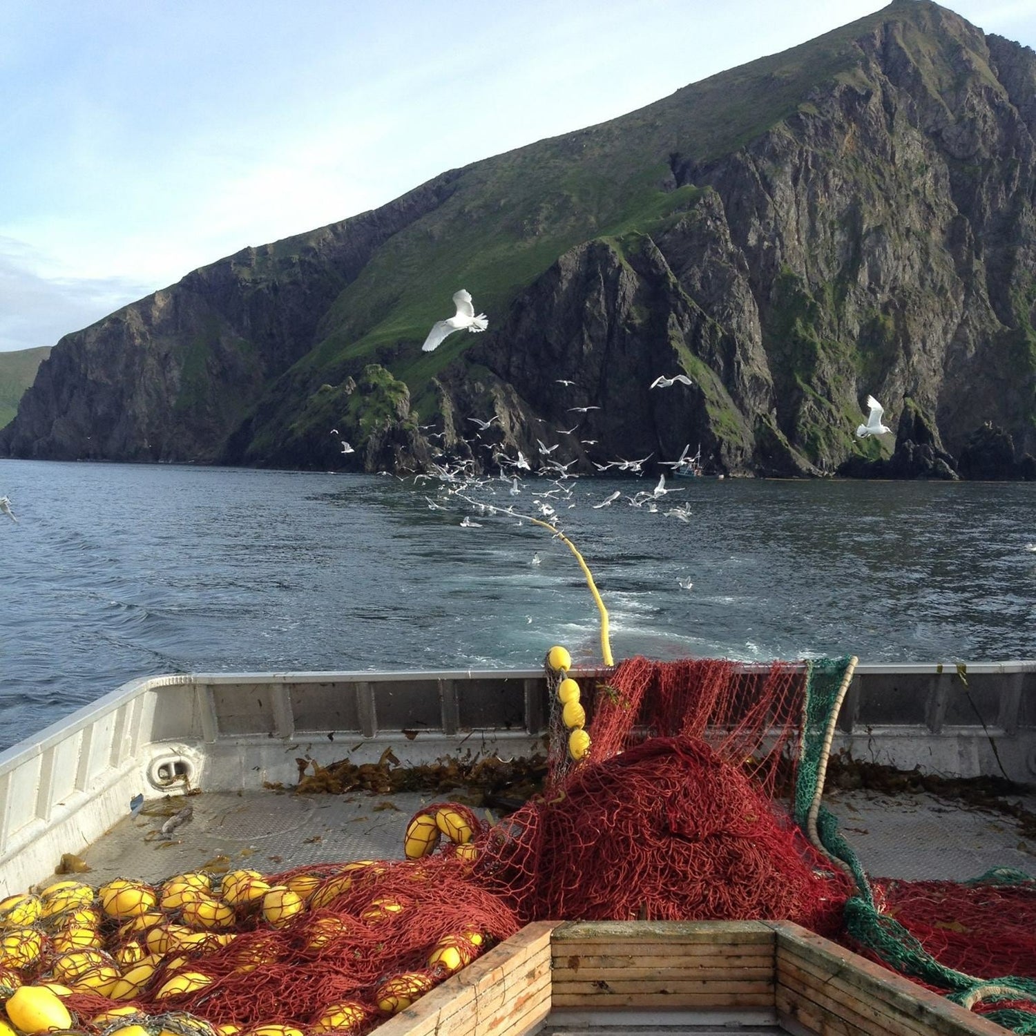 Seiner boat in Alaska with red net, yellow corks, and seagulls and mountain in background