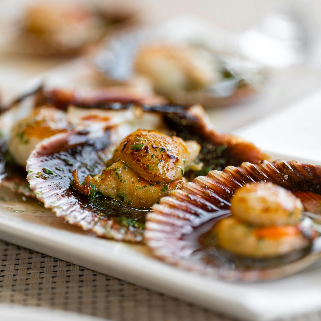 Cooked scallops plated
