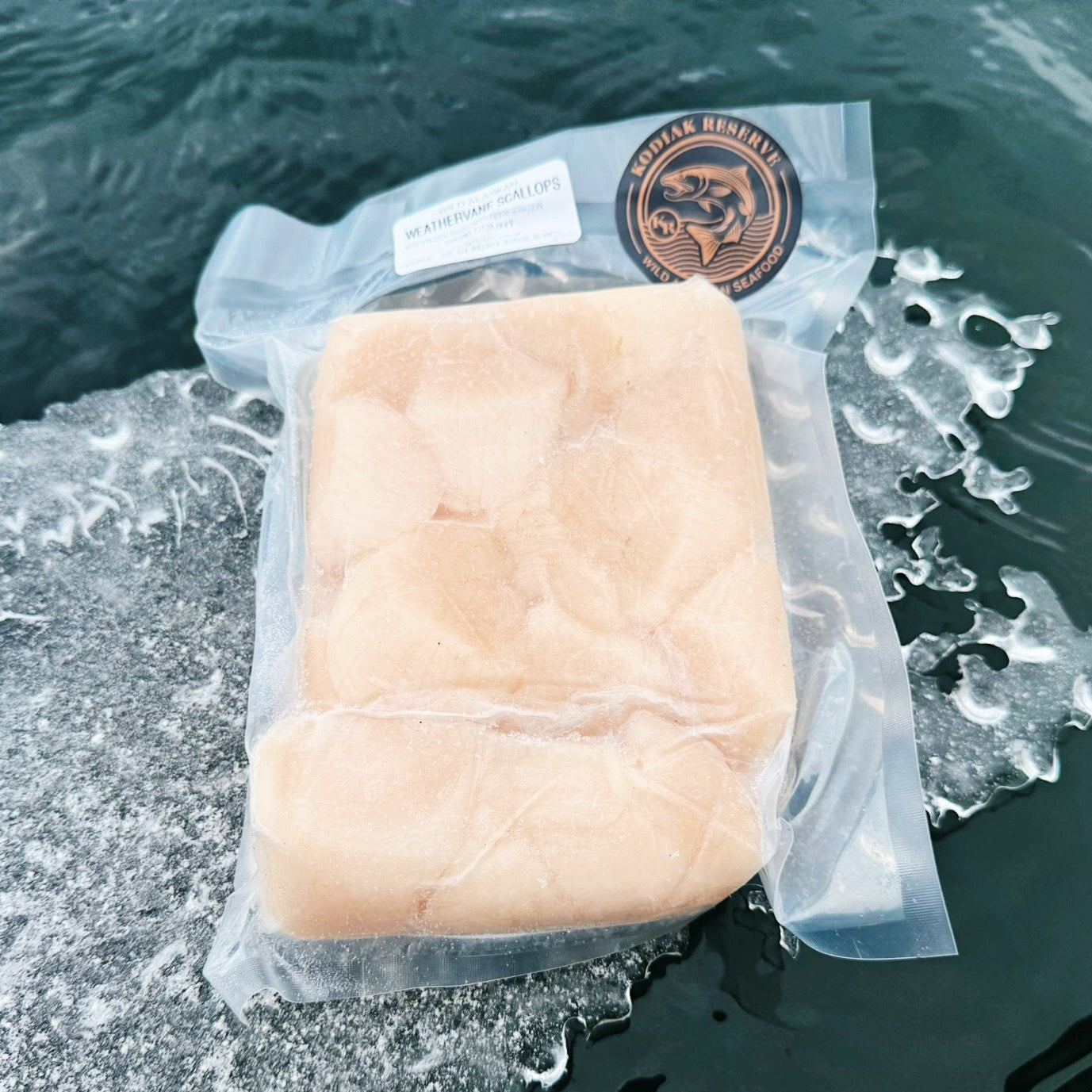 Scallop pack frozen detail shot