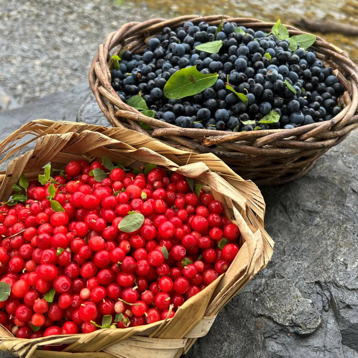 Close up of berries in basket