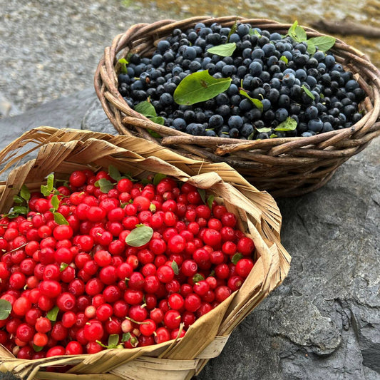 Close up of berries in basket
